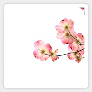 Pink Flower Sticker